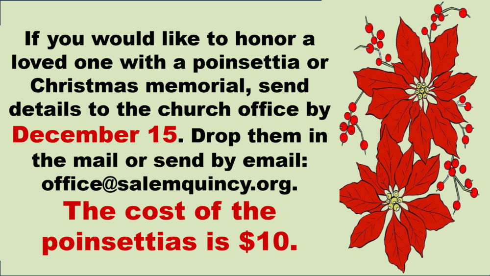 Christmas Memorials and Poinsettias