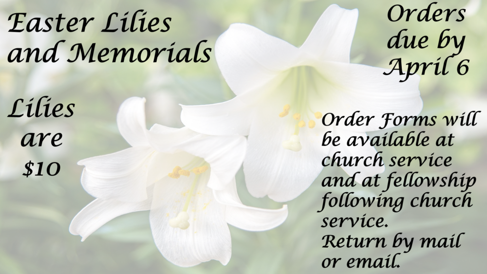 Easter Lilies and Memorials